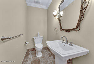 half bath with a sink, crown molding, and toilet