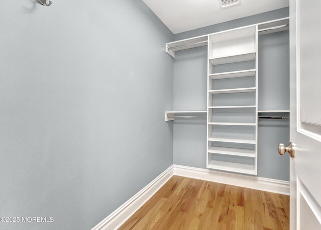 spacious closet featuring wood finished floors