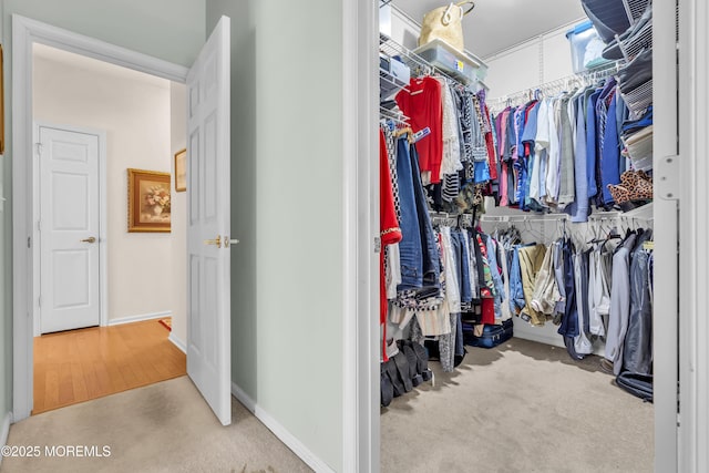 spacious closet featuring carpet