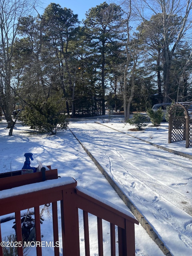 view of yard layered in snow