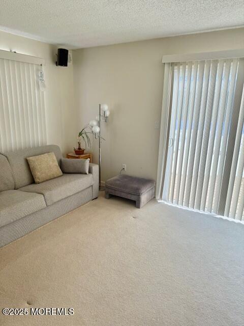 living room with carpet floors and a textured ceiling