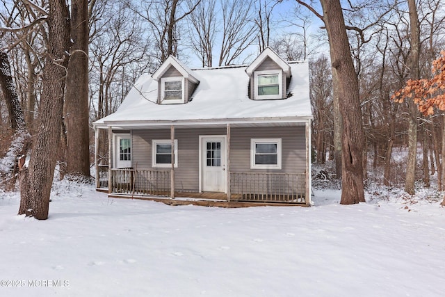 view of cape cod house