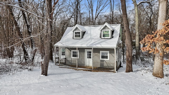 view of cape cod home