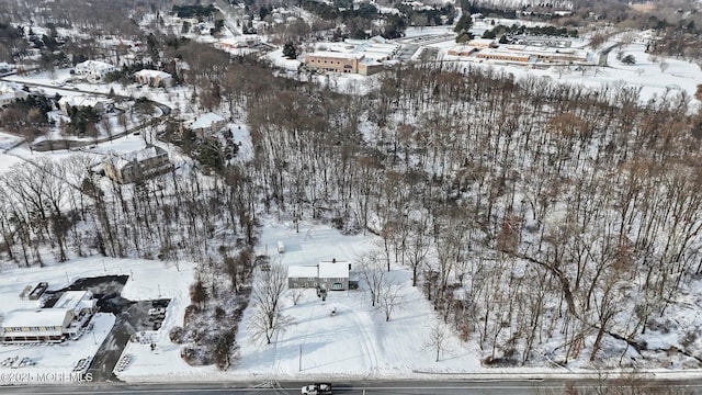 view of snowy aerial view