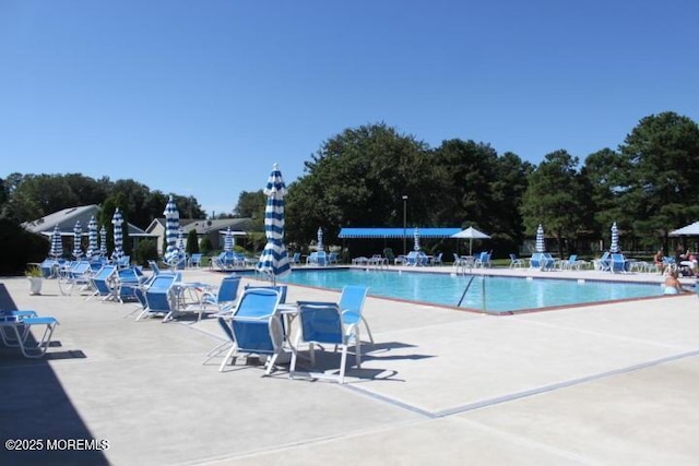 view of pool featuring a patio