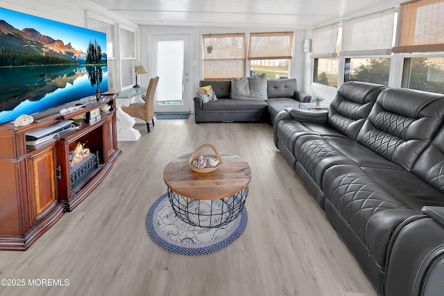 living room with light wood-type flooring