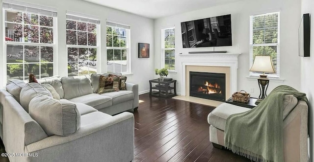 living room with dark hardwood / wood-style floors