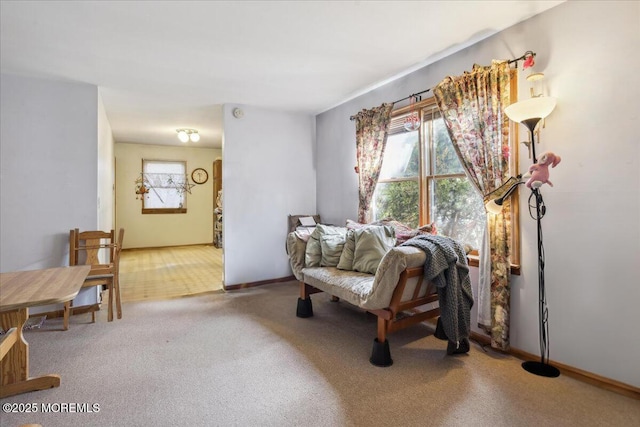 sitting room featuring carpet floors