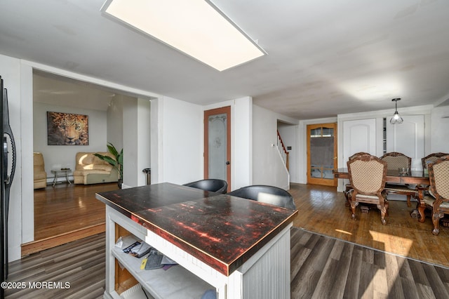 dining room with dark hardwood / wood-style flooring and a baseboard radiator