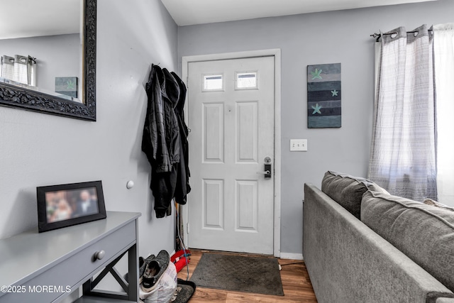 foyer entrance featuring hardwood / wood-style flooring