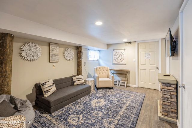 living room featuring hardwood / wood-style floors