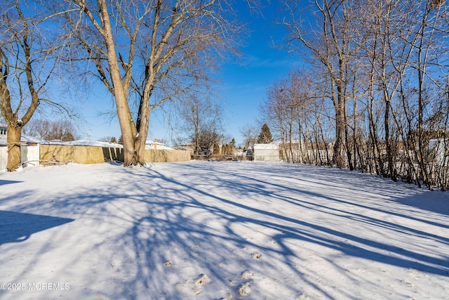 view of snowy yard