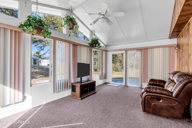 living room with high vaulted ceiling, carpet flooring, a wealth of natural light, and ceiling fan