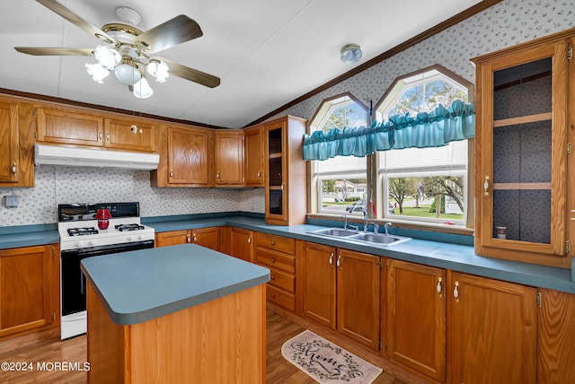 kitchen with ceiling fan, dark hardwood / wood-style floors, white gas range oven, a kitchen island, and sink