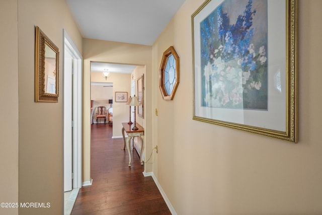 hall featuring dark hardwood / wood-style flooring