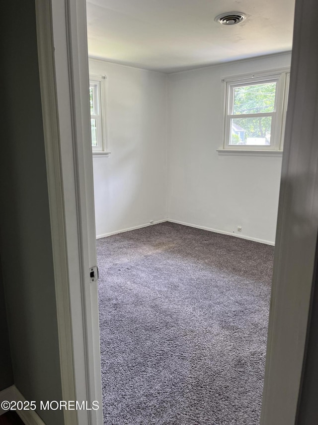 spare room featuring carpet