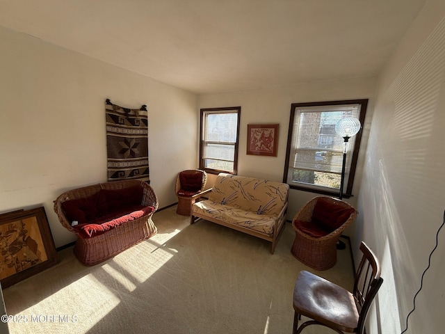 living area featuring carpet floors