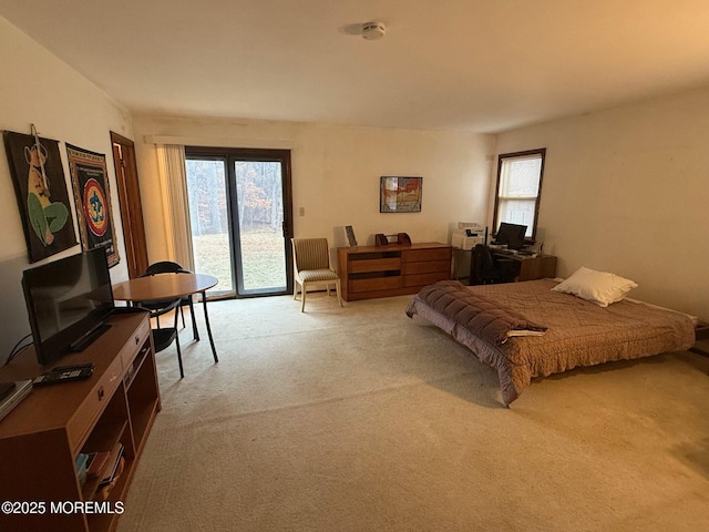 bedroom featuring access to exterior and light carpet