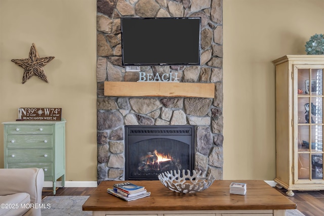 details with a stone fireplace and wood-type flooring