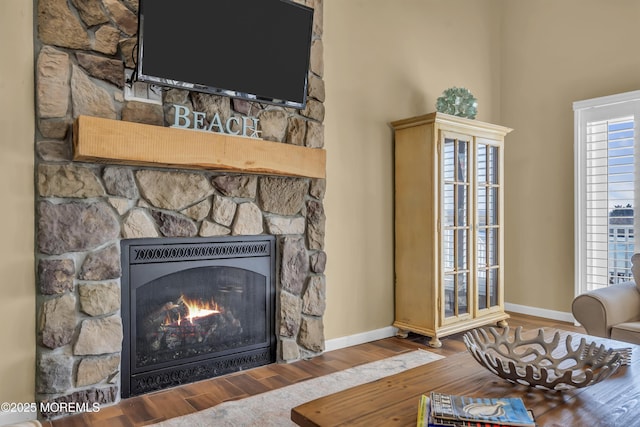 living room featuring hardwood / wood-style flooring and a fireplace