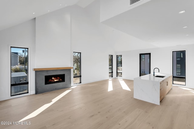 kitchen with sink, a center island with sink, light hardwood / wood-style floors, and a wealth of natural light