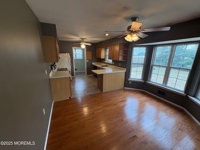 kitchen featuring plenty of natural light, sink, dark hardwood / wood-style floors, and kitchen peninsula