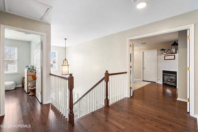 corridor featuring dark hardwood / wood-style flooring