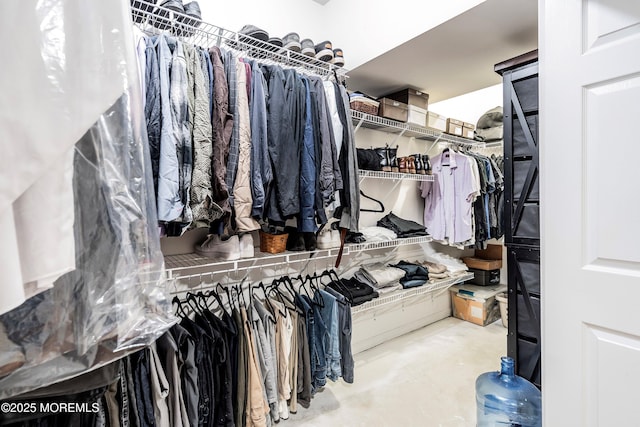 view of spacious closet