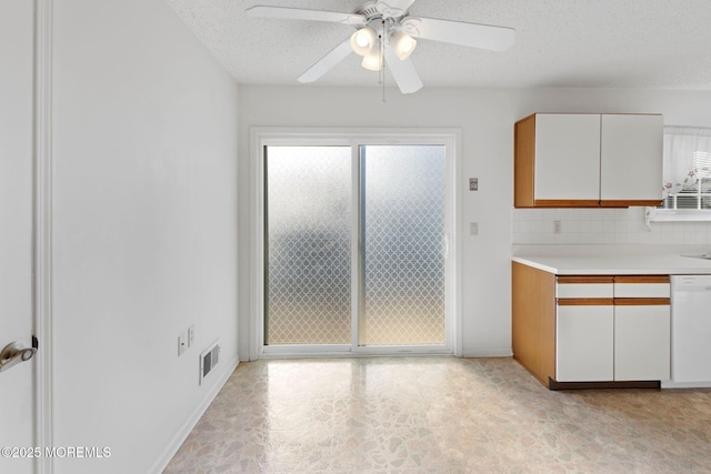 kitchen with white cabinetry, a wealth of natural light, a textured ceiling, and white dishwasher