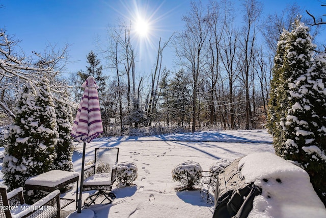 view of snowy yard