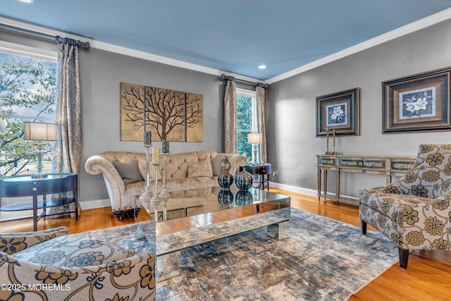 living room featuring hardwood / wood-style flooring and crown molding