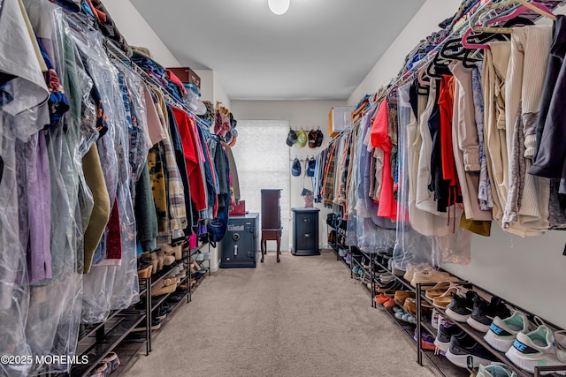 walk in closet featuring carpet