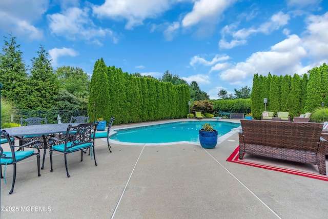 view of swimming pool with a patio area and an outdoor hangout area