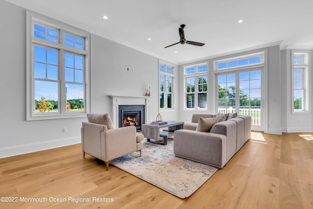 living room with crown molding, ceiling fan, and light wood-type flooring