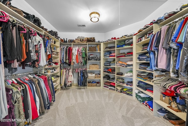 spacious closet with carpet flooring