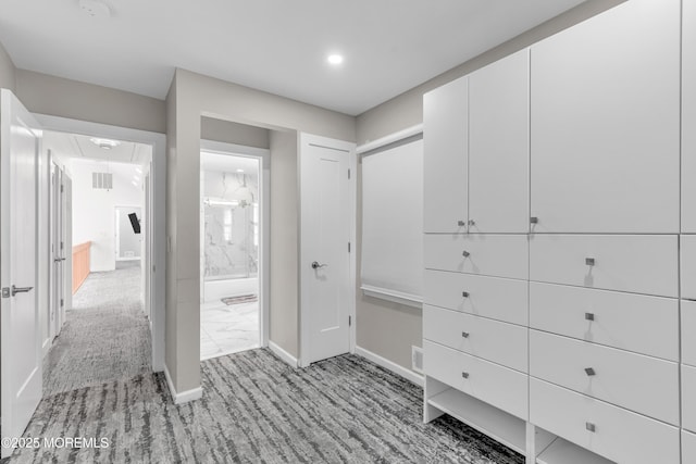 spacious closet with light colored carpet