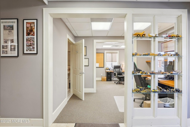 carpeted office featuring a drop ceiling