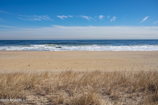 water view featuring a beach view