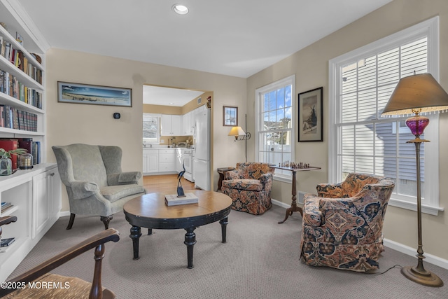 living area featuring light colored carpet