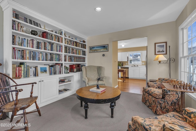 living area featuring light carpet, sink, and a healthy amount of sunlight