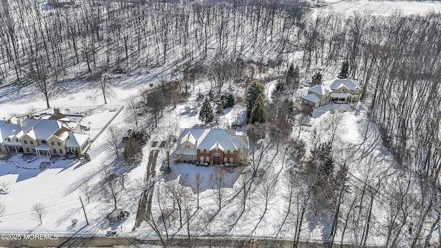 view of snowy aerial view