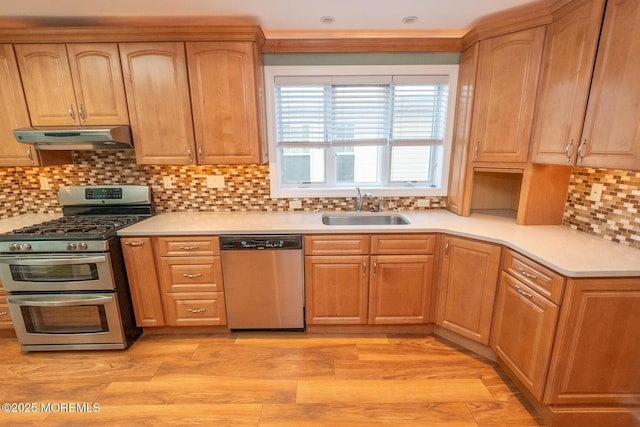 kitchen featuring tasteful backsplash, appliances with stainless steel finishes, sink, and light hardwood / wood-style floors