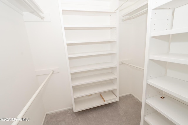 walk in closet with light carpet