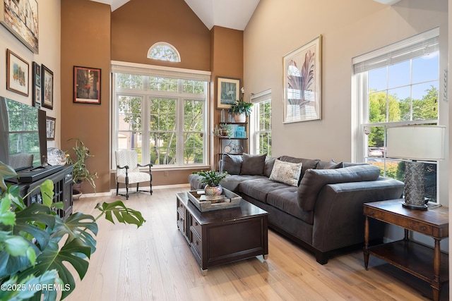 66 Banyan Blvd, Holmdel, NJ 07733 - living area featuring light wood-style floors and high vaulted ceiling