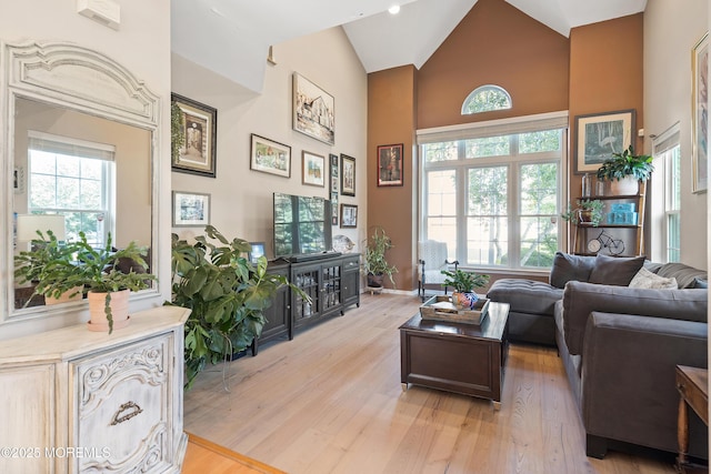 66 Banyan Blvd, Holmdel, NJ 07733 - living area featuring high vaulted ceiling and light wood-style floors