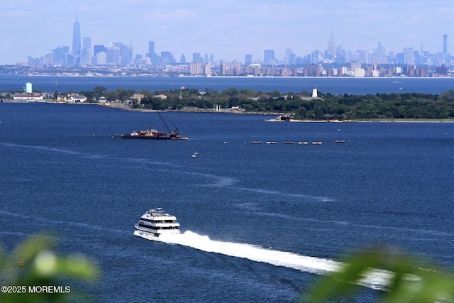 66 Banyan Blvd, Holmdel, NJ 07733 - water view with skyline