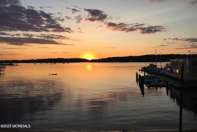 66 Banyan Blvd, Holmdel, NJ 07733 - water view featuring a boat dock