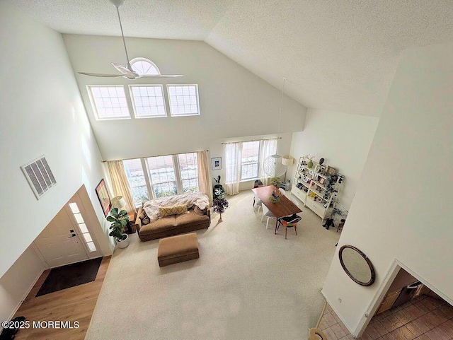 carpeted living room featuring a textured ceiling and a towering ceiling