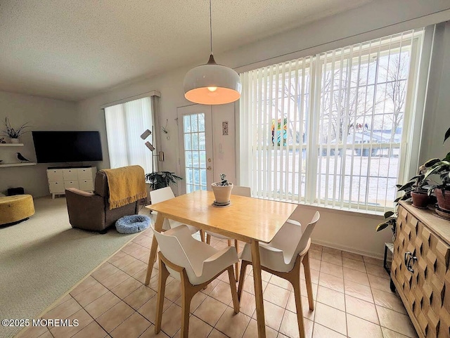 carpeted dining area featuring a healthy amount of sunlight and a textured ceiling