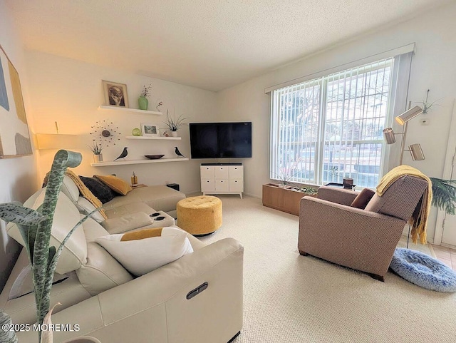 carpeted living room with a textured ceiling